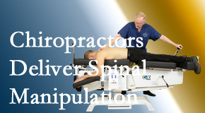 Paulette Hugulet, DC, LLC uses spinal manipulation on a daily basis as a representative of the chiropractic profession which is recognized as being the profession of spinal manipulation practitioners.